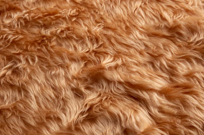 Alpaca Wool 